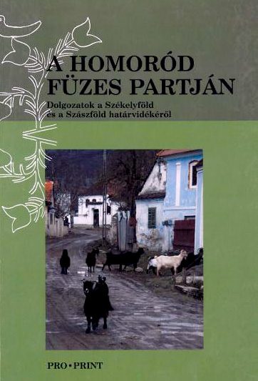 A Homoród füzes partán borítója