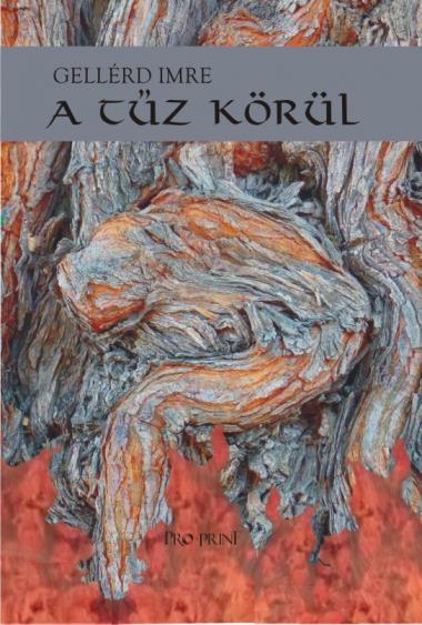 A tűz körül borítója