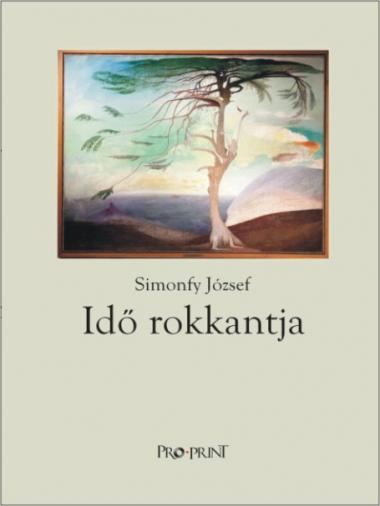 Idő rokkantja borítója