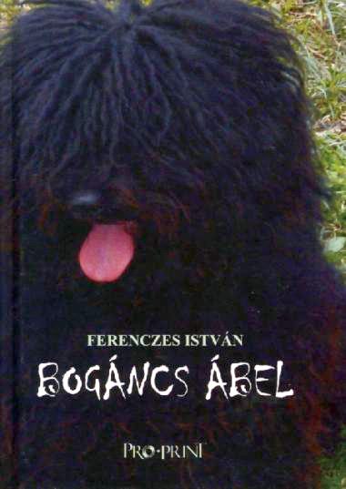 Bogáncs Ábel borítója