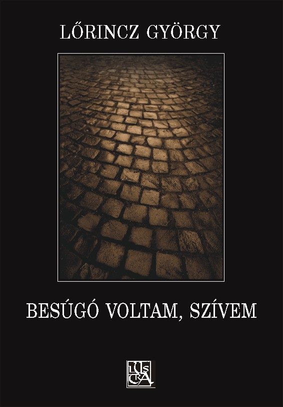 Besúgó voltam, szívem borítója