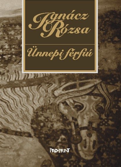 Ünnepi férfiú borítója