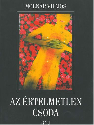 Az értelmetlen csoda borítója